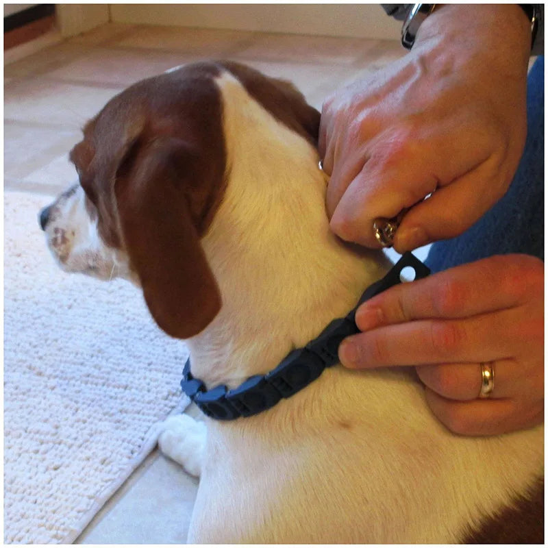 Dog Collar Welded Link Chain Pet Non-slip Pinch Adjustable Large Size Training Accessories Collars For Big Dogs