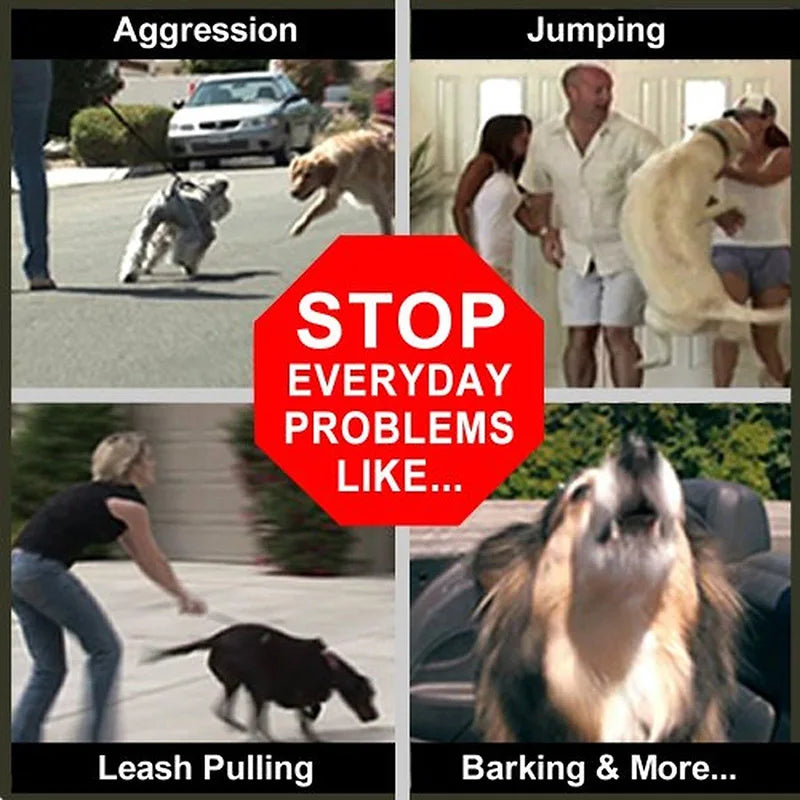 Dog Collar Welded Link Chain Pet Non-slip Pinch Adjustable Large Size Training Accessories Collars For Big Dogs