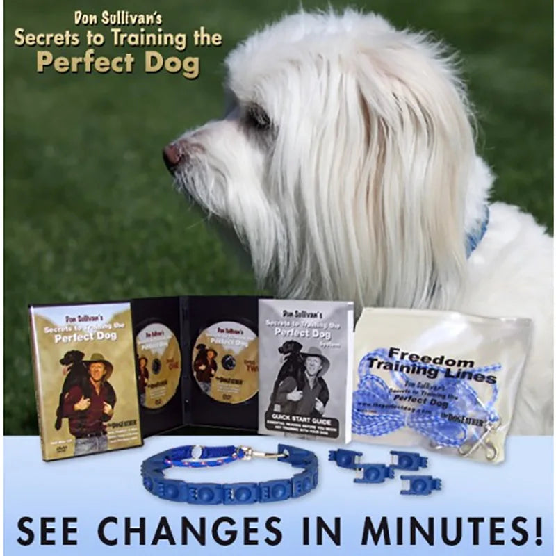 Dog Collar Welded Link Chain Pet Non-slip Pinch Adjustable Large Size Training Accessories Collars For Big Dogs