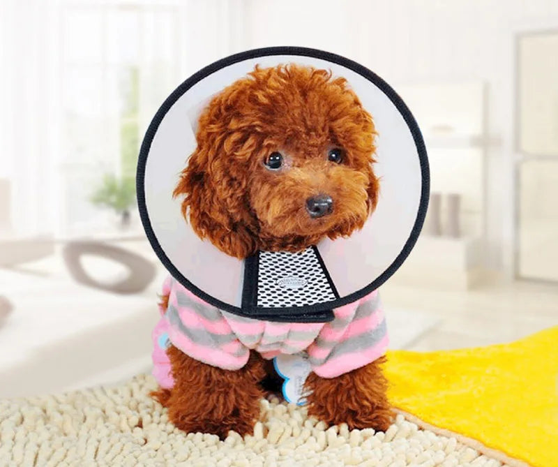 Pet Protective Collar For Small Large Dogs Anti Bite Grasping Licking Collar Puppy Cat Recovery Cone Ring Pets Care Accessories