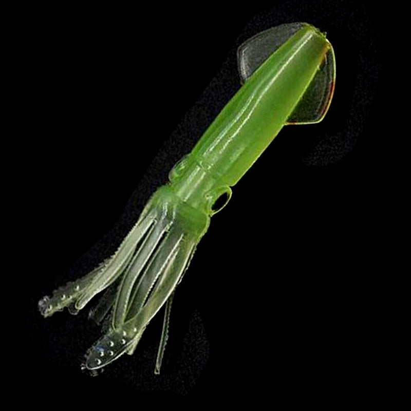 HOT Transparent Fishing Rod Cap Pole Protection Caps Guide Hood Sea Rod Hat Plastic Fishing Tackle Accessories