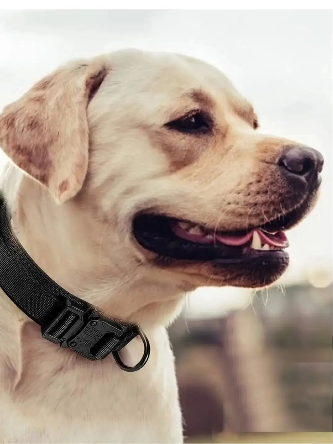 Tactical Dog Collar, Adjustable Military Training Nylon Dog Collar with Control Handle and Heavy Metal Buckle for Medium and Lar