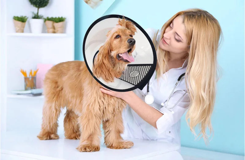 Pet Protective Collar For Small Large Dogs Anti Bite Grasping Licking Collar Puppy Cat Recovery Cone Ring Pets Care Accessories