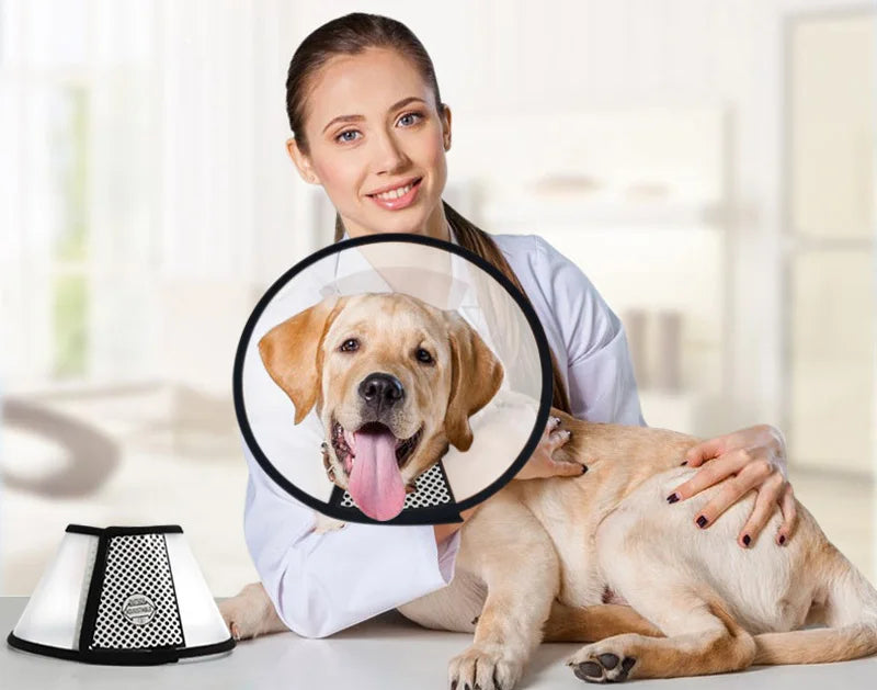 Pet Protective Collar For Small Large Dogs Anti Bite Grasping Licking Collar Puppy Cat Recovery Cone Ring Pets Care Accessories