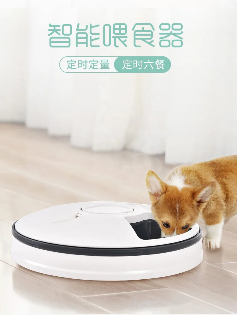 Automatic Feeder Pet Dog Round Timing Feeder 6 Meals 6 Grids Cat Dog Electric Dry Food Dispenser 24 Hours Feed Pet Supplies