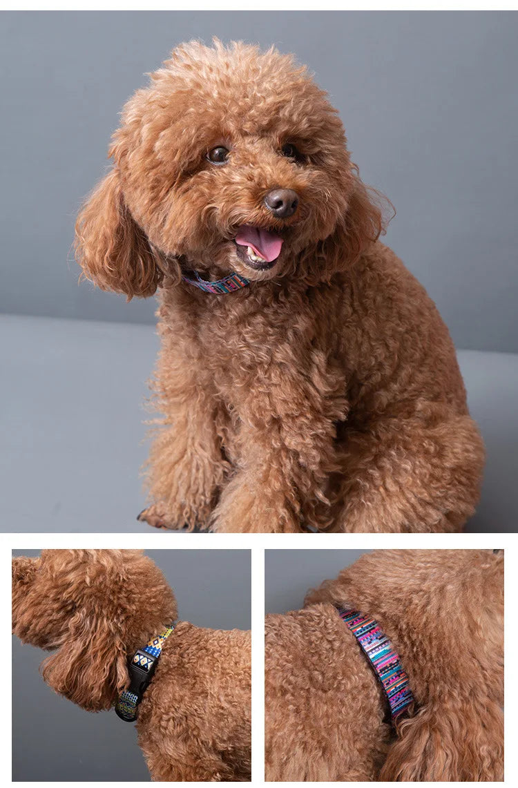 Pet Collar and Leash Set for Small Medium Large Dog Walking Collars Bohemia Style Puppy Cat Collar Pet Supplies Buldog Chihuahua