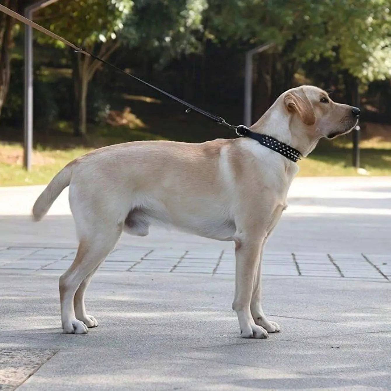 CP037--pet dog adjustable rivet collar,  anti-bite neck protect collar used of durable PU leather and rust resistant metal rivet