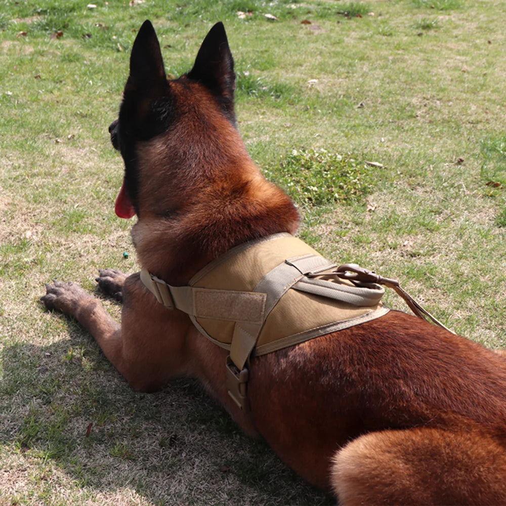 Tactical dog harness patrol harness service dog vest military dog vest working dog vest with handles suitable for large dogs